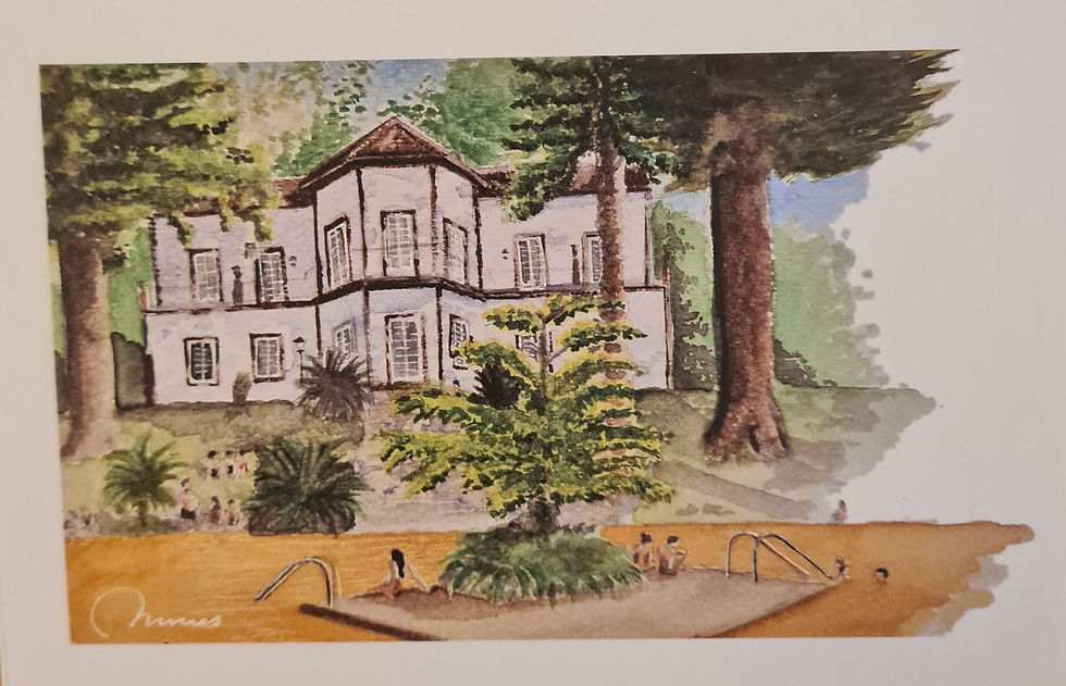 Miniatura: Termas do Parque Terra Nostra