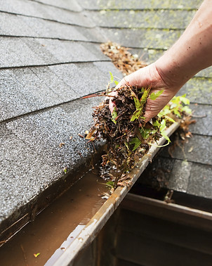 Cleaning a Rain Gutter