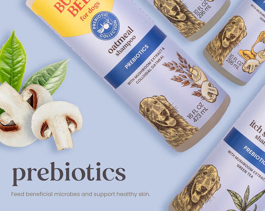 prebiotics.png