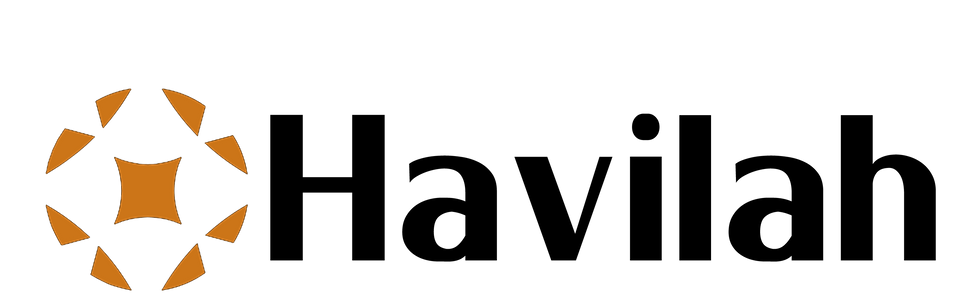 hava logo 2.png