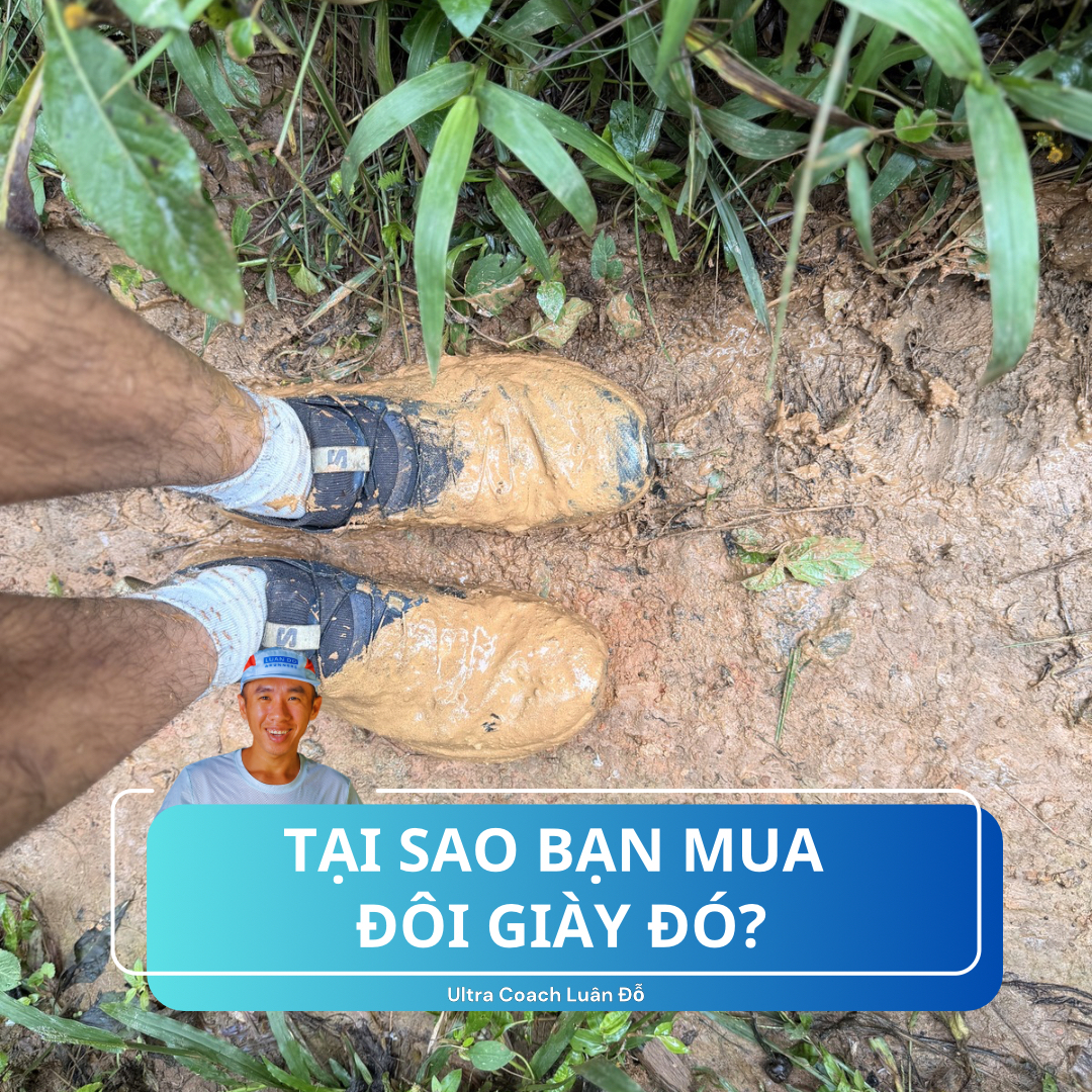 Hình ảnh minh họa