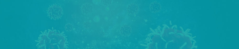 HEADER-Harmones-Management-BG.jpg