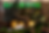 asset 5.png