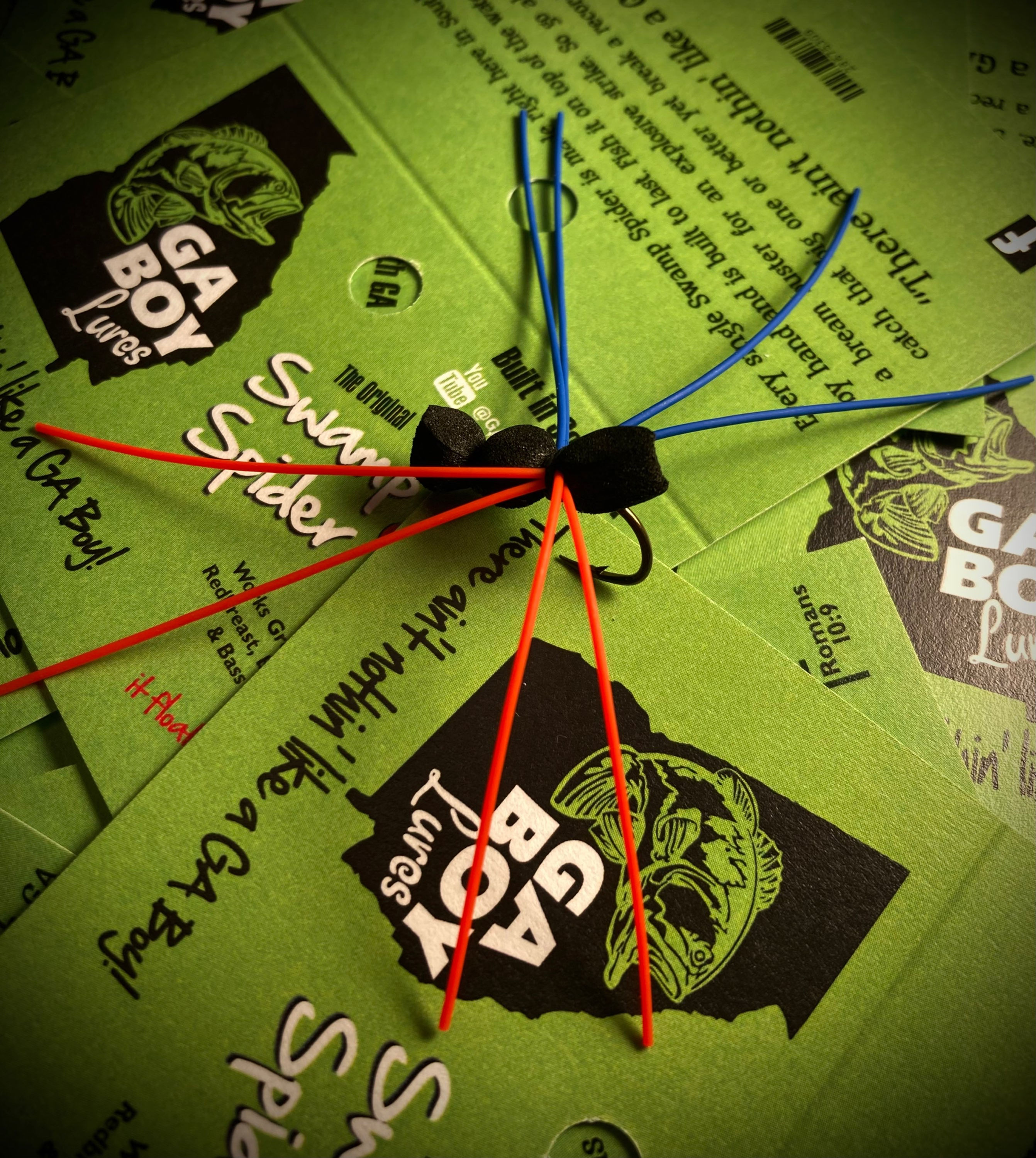 Swamp Spider Jr. (Gainesville Blackout)