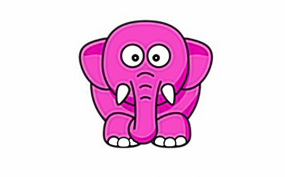 Pink Elephant, how we remember