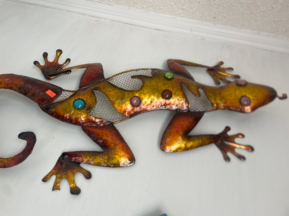 Indoor outdoor Lizard