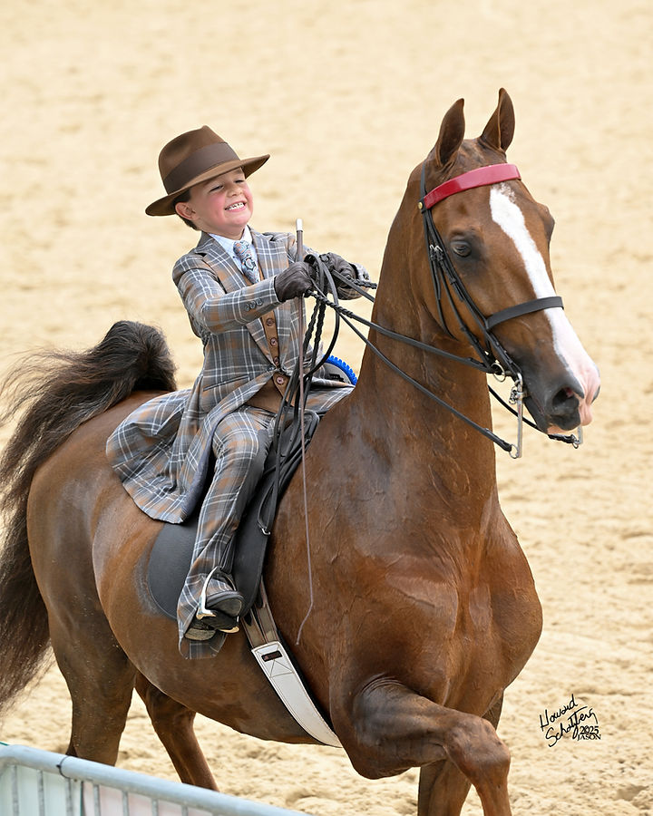 071-116-25LEX Holmes.jpg