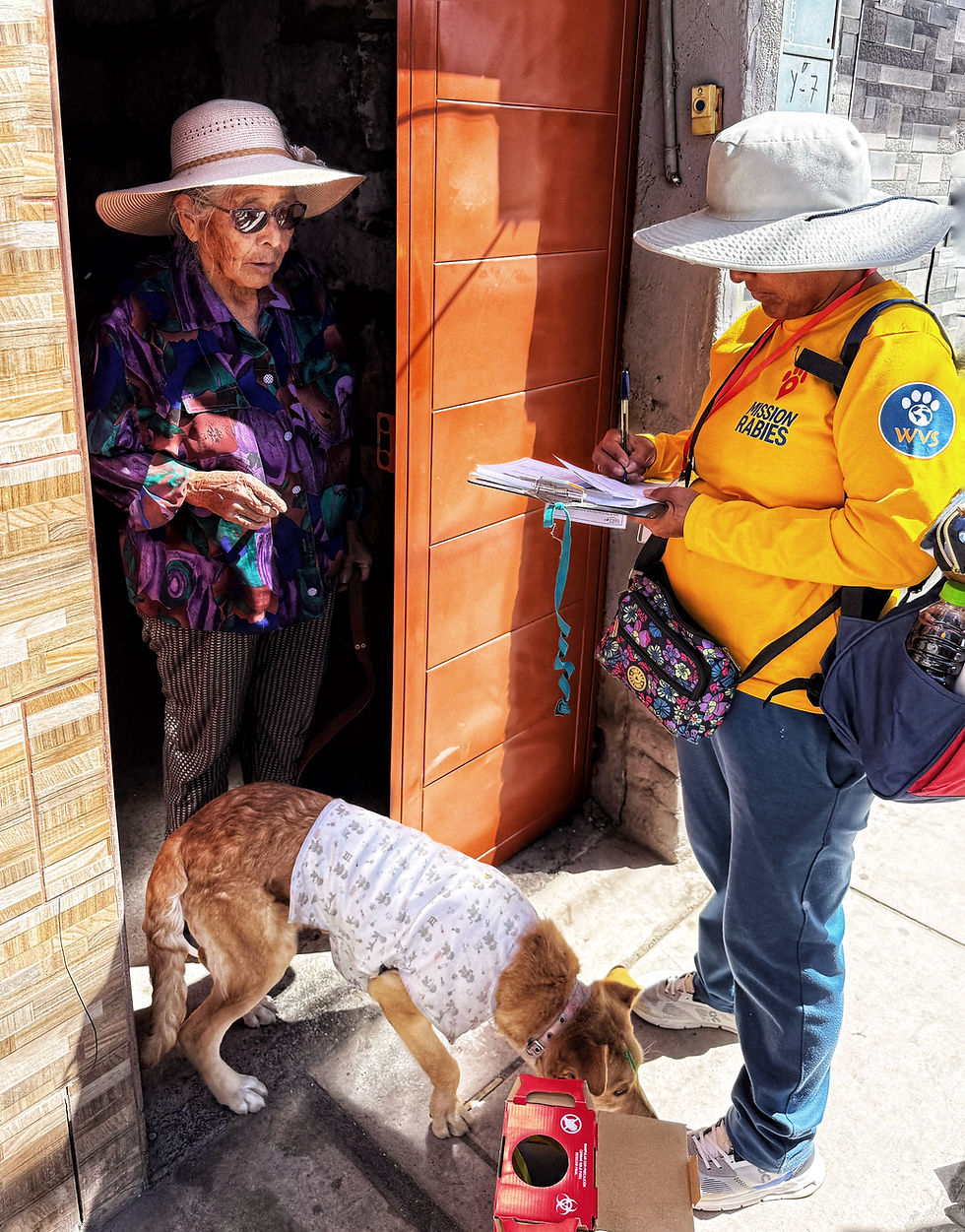 Going door-to-door.
