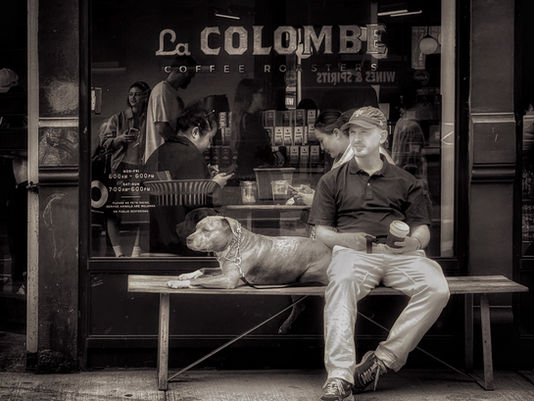 Restless Lens Week 16: April 16 - 22. From NYC to the Pacific Northwest.