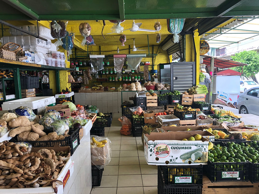 A local market in the non-touristy part of town.  