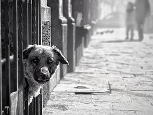Restless Lens - Week 28 (July 8 - 14): Still enjoying Arequipa.