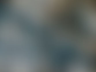 Mission Rabies Tanzania 2025 - A Most Successful Campaign Comes to a Close