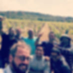 La Petite Odyssée vineyard, Toulouse, France, natural wine producer