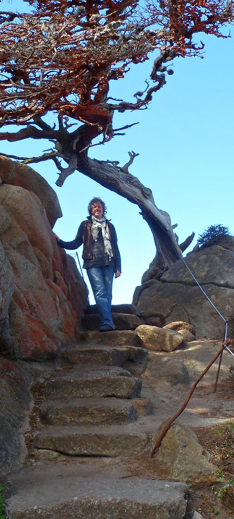 SAM_0324.JPG