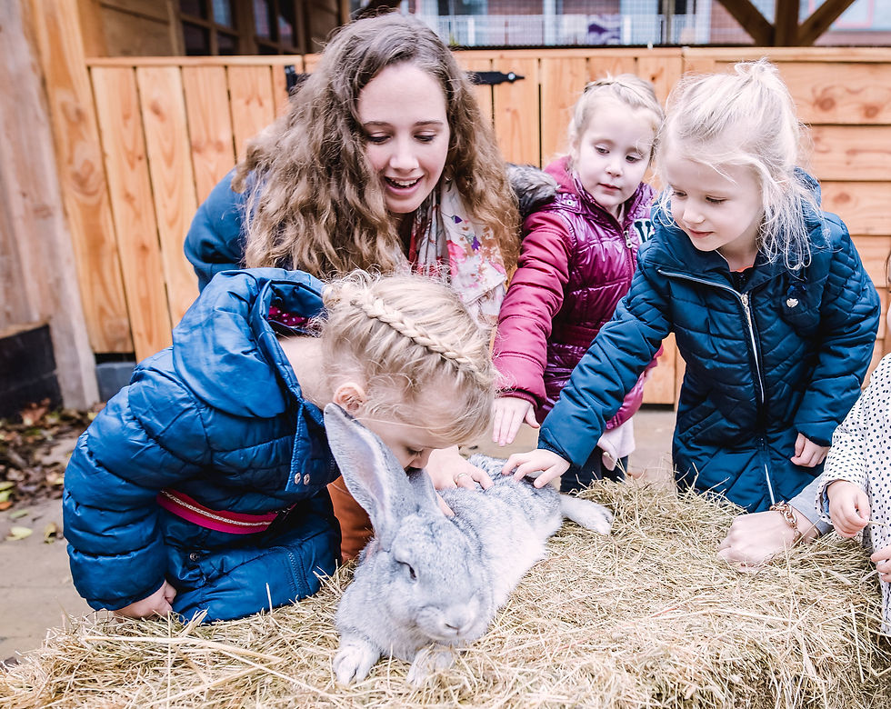 ChrKDVTrots-80_edited