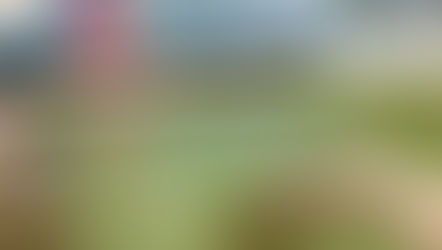 本日30日は桃の葉湯