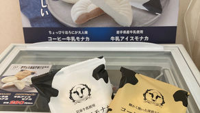 アイスモナカの販売を始めました!