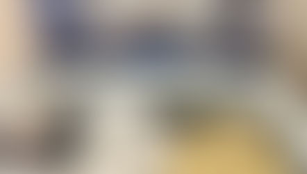 アイスモナカの販売を始めました!