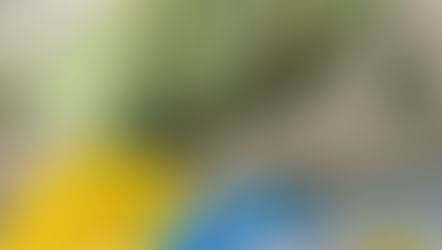 本日11日はケロリンの湯