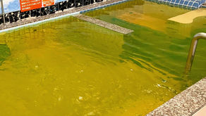 本日17日は蜂蜜ローヤルゼリー湯