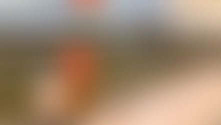 本日24日はお風呂の万田酵素湯