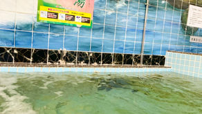 土用の丑の日ももの葉湯