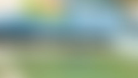 土用の丑の日ももの葉湯