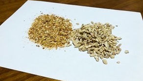 本日27日はジンジャーゆず湯