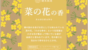 本日30日は菜の花の香湯