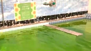 本日14日はメロンの湯