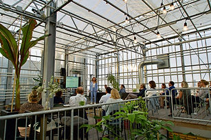3F707F53-52A0-4E78-9900-6B49443FC47C_1_201_a_edited.jpg