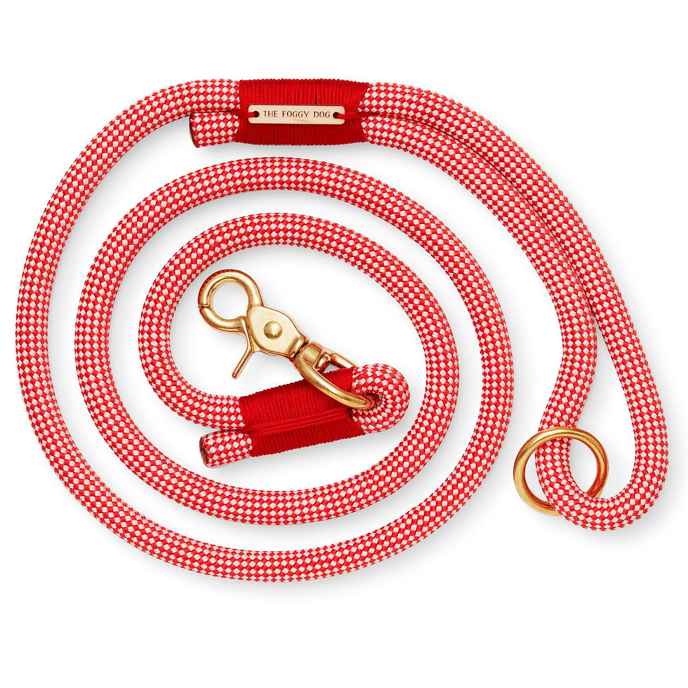 Strawberry Climbing Rope Leash: 5 feet