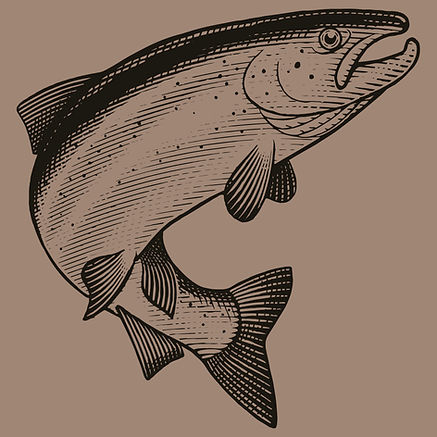 zalm logo_edited_edited.jpg