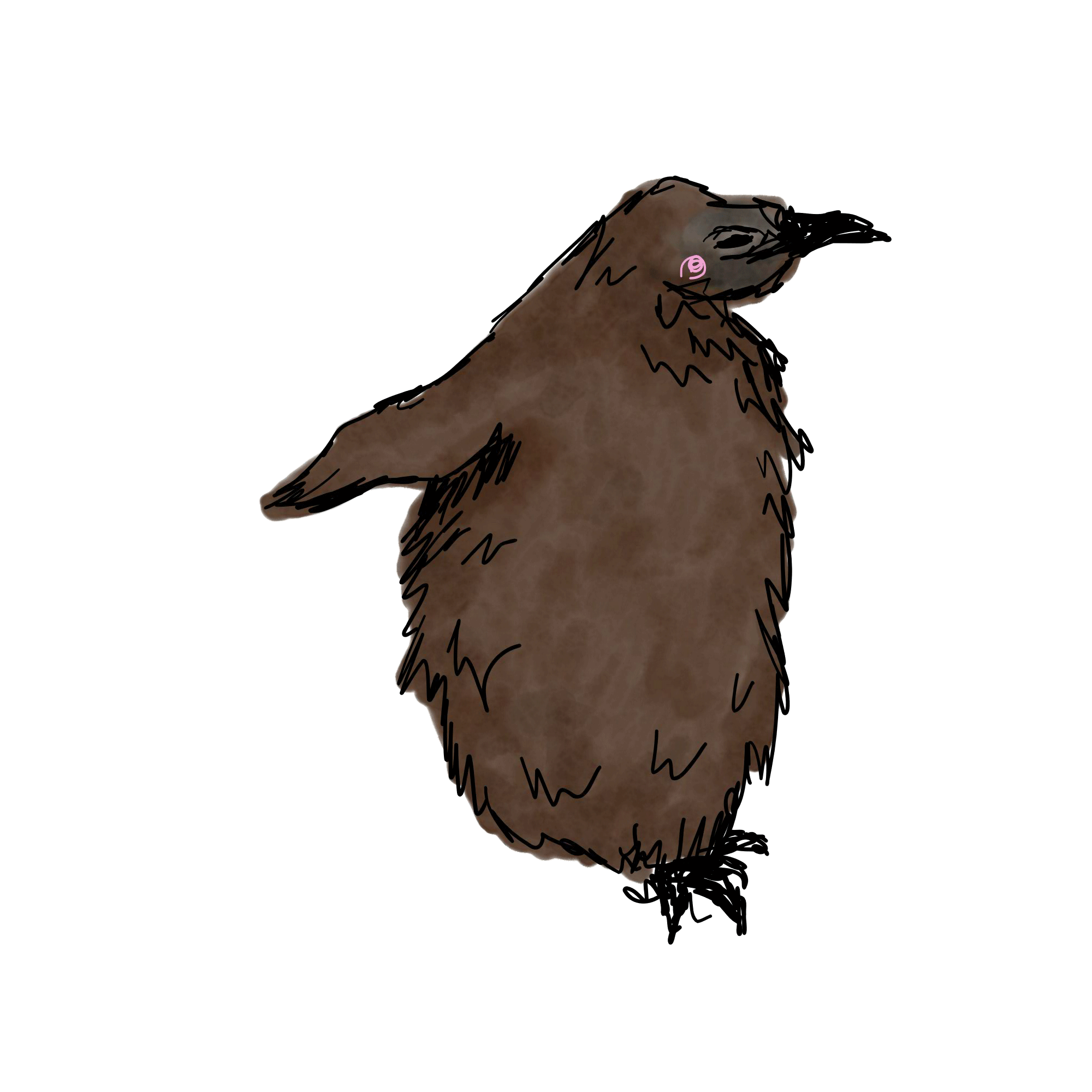 Pesto the Penguin