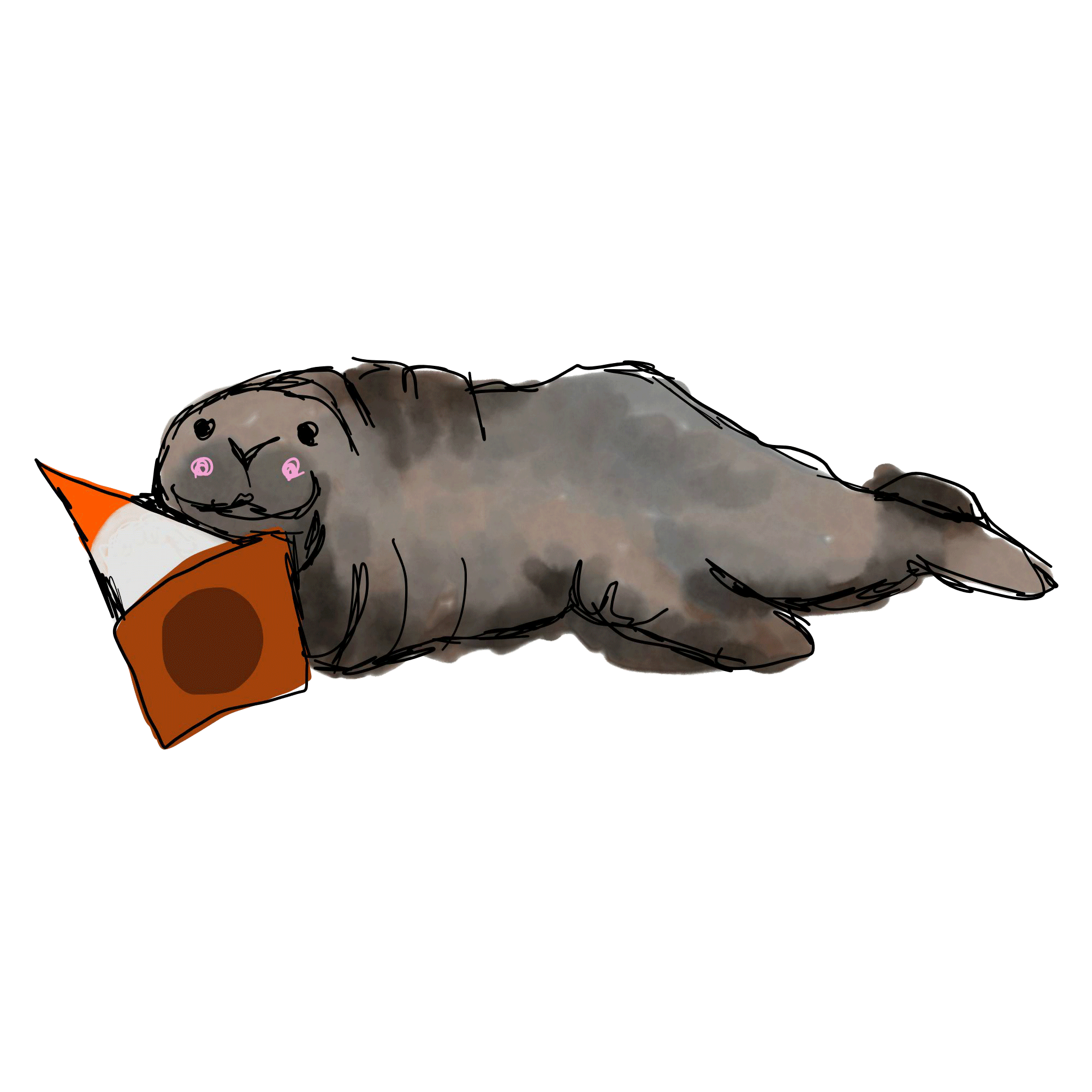 Neil the Seal