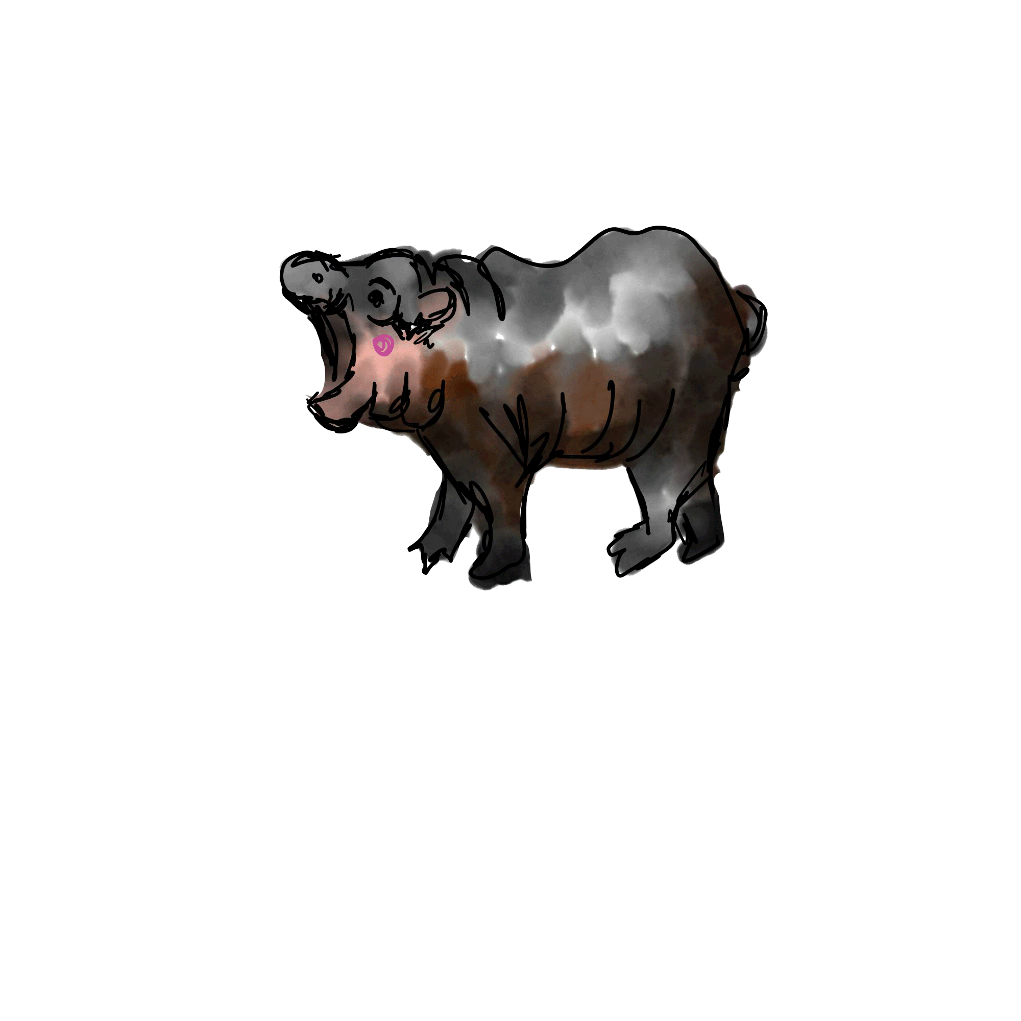 Moo Deng