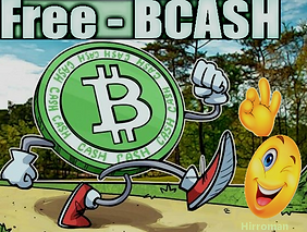 bcash.png