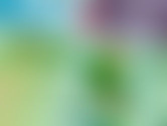 Why focus on Financial Inclusion