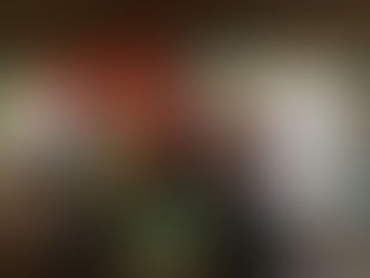 Business update from the Australia-Vanuatu Business Forum (February 2017)