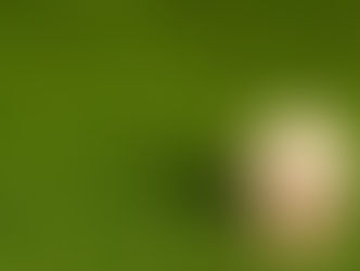 Starting on Strata in the Solomon Islands