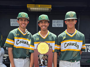 Hernandez Trio Helps Hornets Capture History