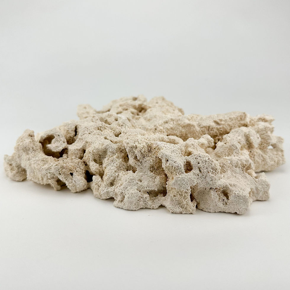 Marco Rock Natural Foundation