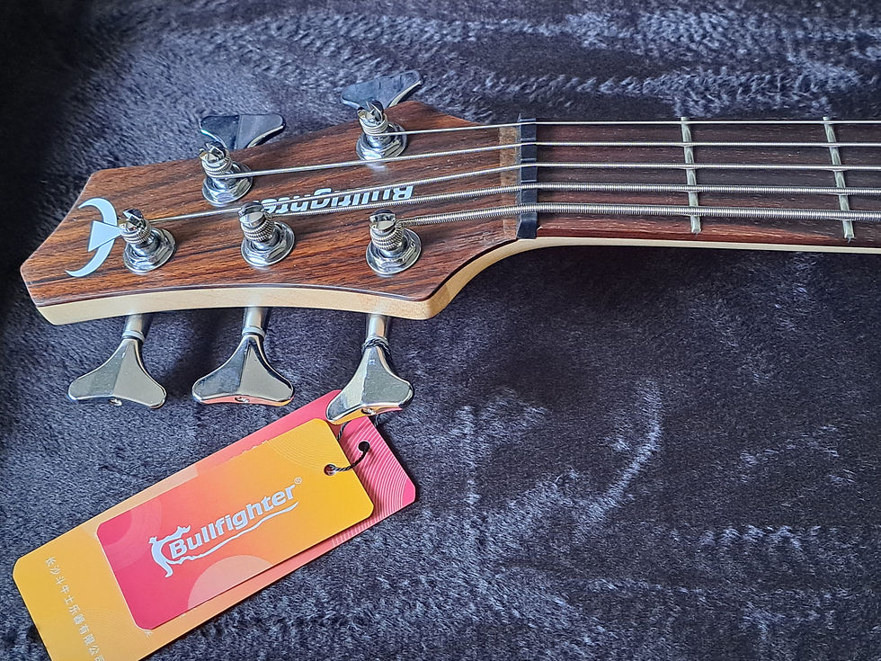 Thumbnail: 5 String Bass Guitar, FREE Black Case, by Bullfighter. Superb Rich deep tones.