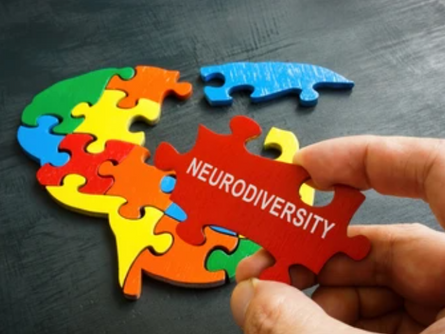 What is Neurodivergence? A Holistic Overview