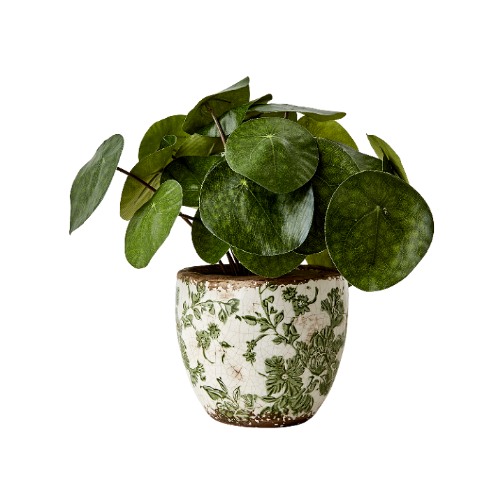 Miniatyrbild: Kruka i stengods med slingrande gröna blad och blommor