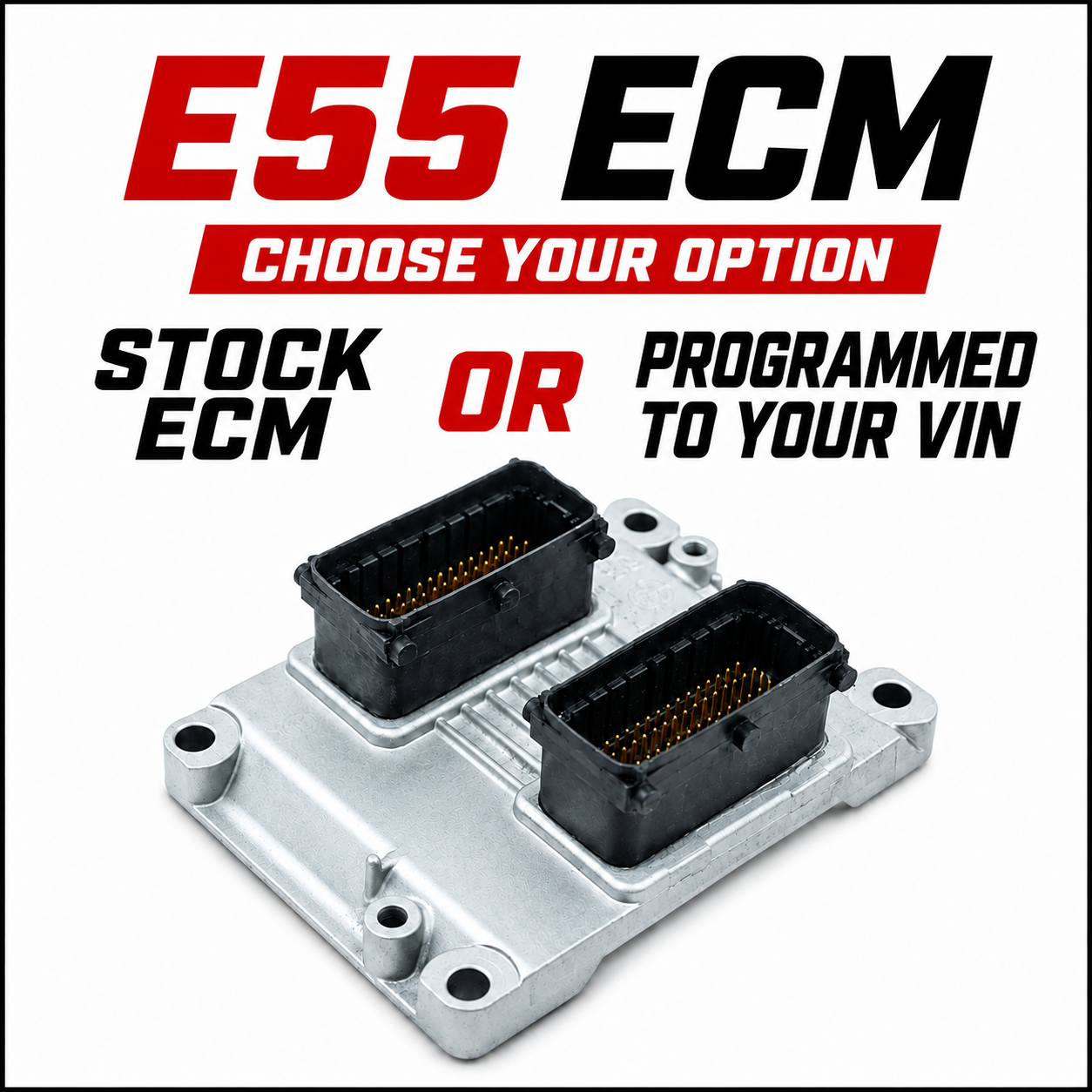 E55 ECM