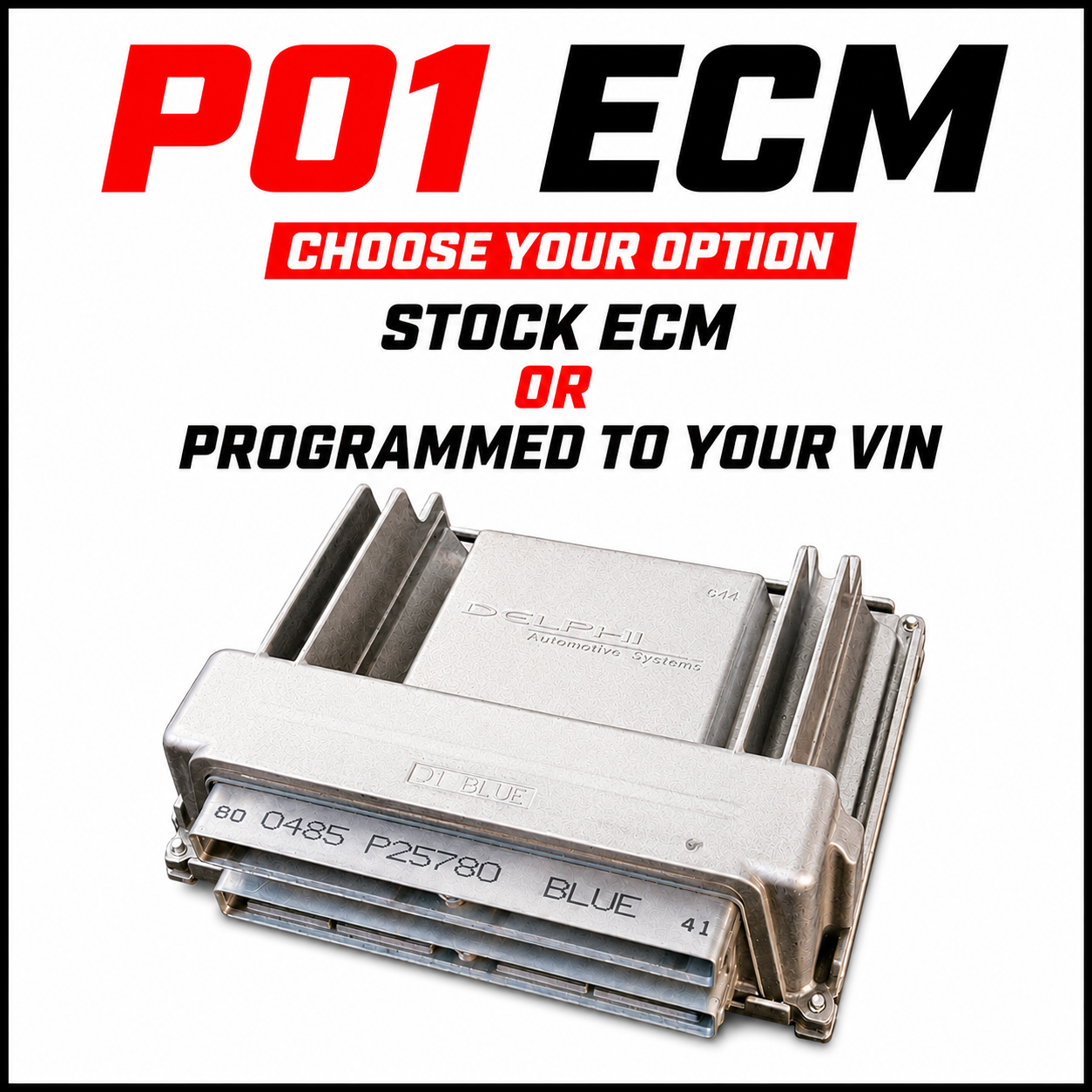 P01 ECM