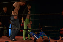 Ace - Hayden - Ajax 2