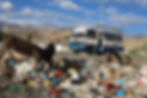 Open disposal of waste threatens the life of animals.