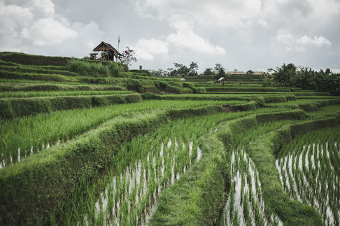 2016_BALI-68
